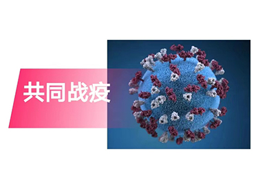 江北新區(qū)管委會(huì)副主任陳潺嵋慰問(wèn)我司